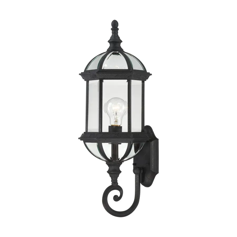 Boxwood 22" Outdoor Wall Sconce with Clear Beveled Glass - Image 1