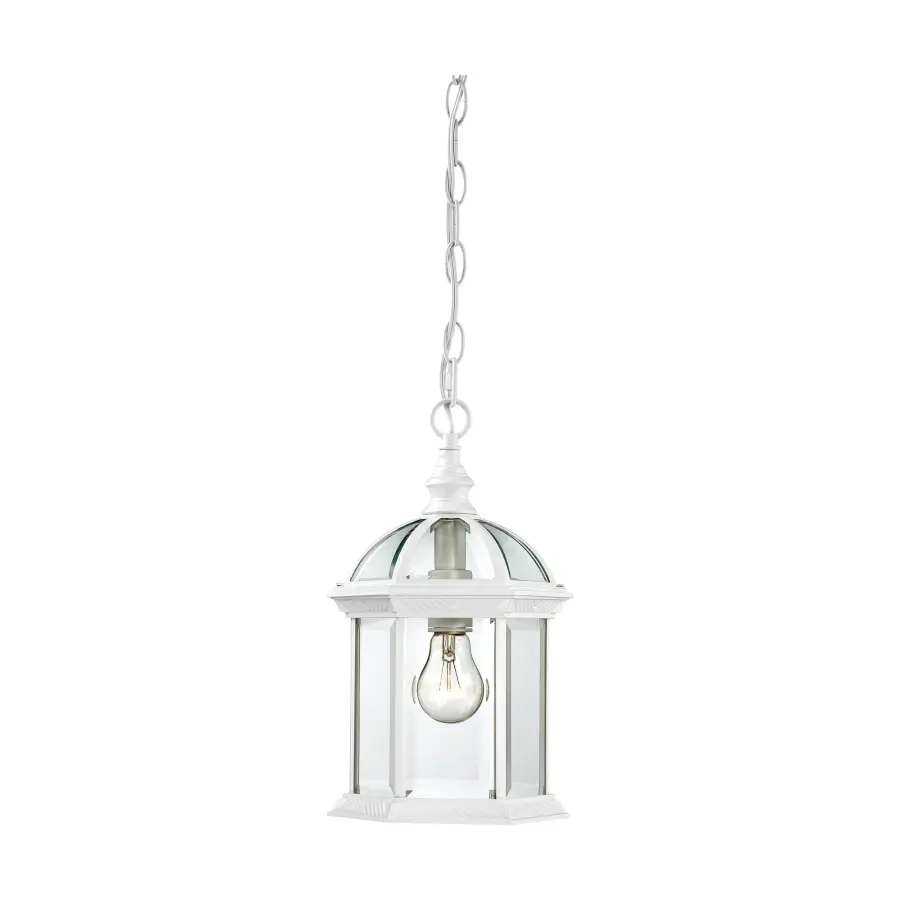 Boxwood 14" Outdoor Hanging Light with Clear Beveled Glass - Image 1