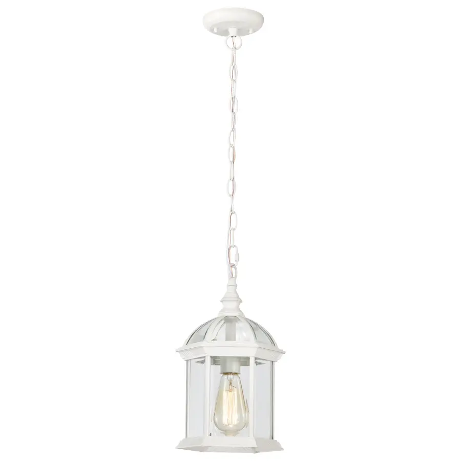 Boxwood 14" Outdoor Hanging Light with Clear Beveled Glass - Image 2