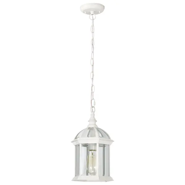 Boxwood 14" Outdoor Hanging Light with Clear Beveled Glass - Image 3