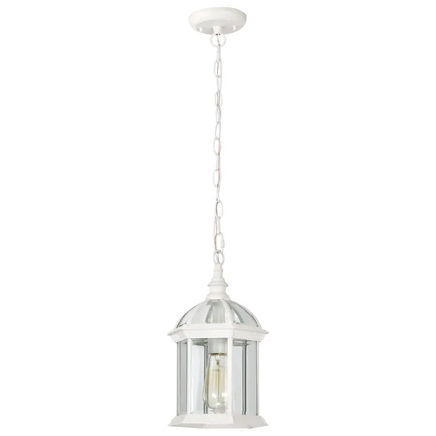 Boxwood 14" Outdoor Hanging Light with Clear Beveled Glass - Image 3