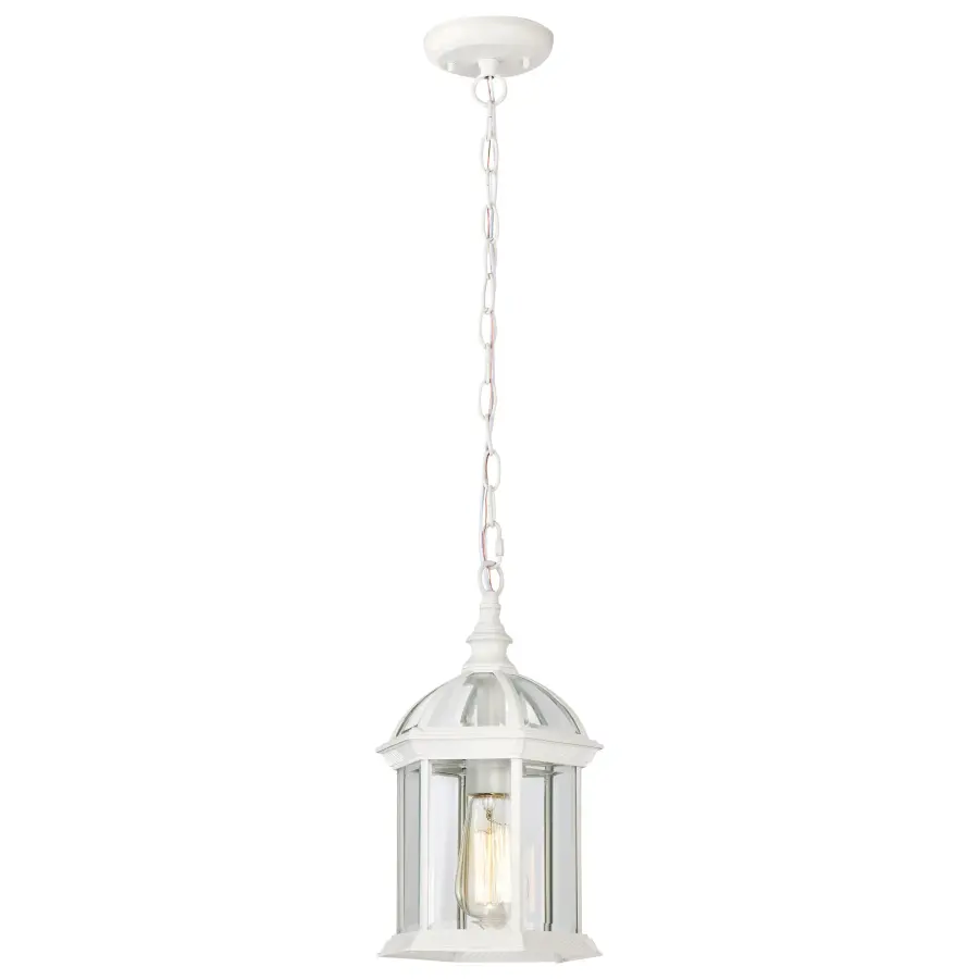 Boxwood 14" Outdoor Hanging Light with Clear Beveled Glass - Image 4