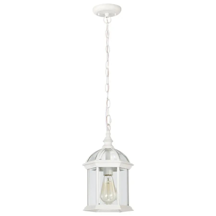 Boxwood 14" Outdoor Hanging Light with Clear Beveled Glass - Image 5