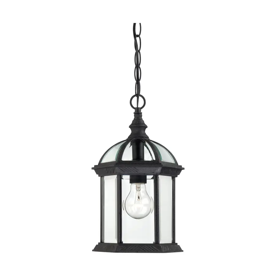 Boxwood 14" Outdoor Hanging Lantern with Clear Beveled Glass - Image 1