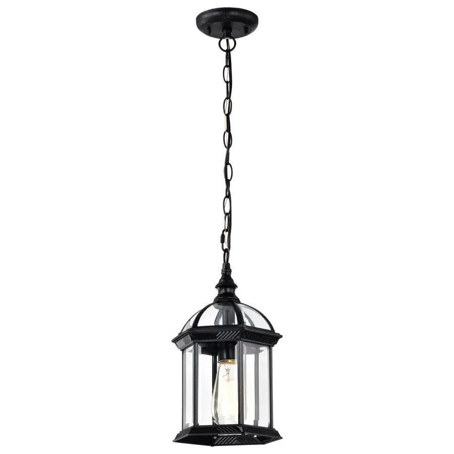 Boxwood 14" Outdoor Hanging Lantern with Clear Beveled Glass - Image 2