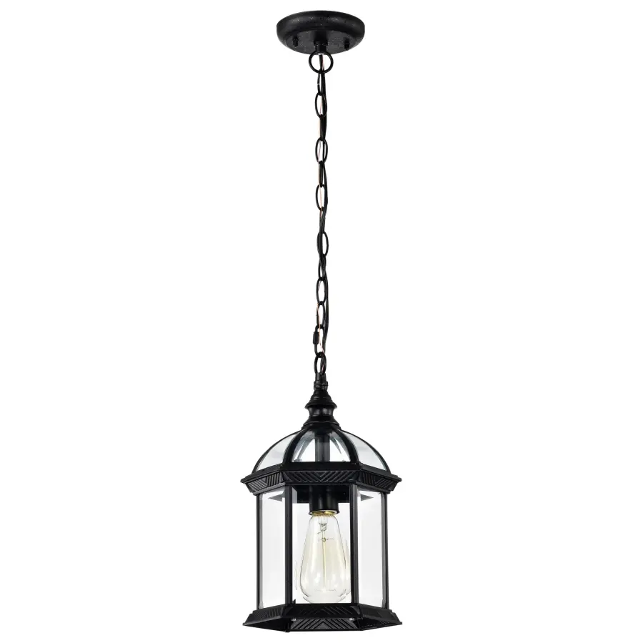 Boxwood 14" Outdoor Hanging Lantern with Clear Beveled Glass - Image 5
