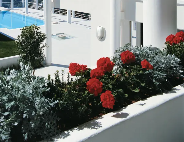 This die-cast bulkhead combines industrial cage styling with weather-resistant construction. The semi-gloss white finish and oval cage design provide both functional illumination and architectural interest for exterior walls. - alternate view