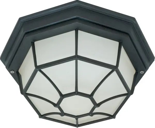 12" Spider Cage Ceiling Light with Glass Lens - Image 1