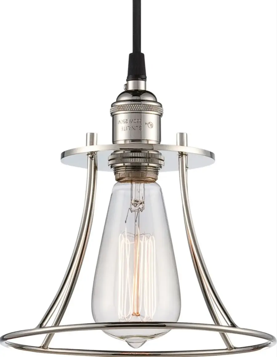 Vintage Caged Pendant Light with Vintage Bulb - Image 2