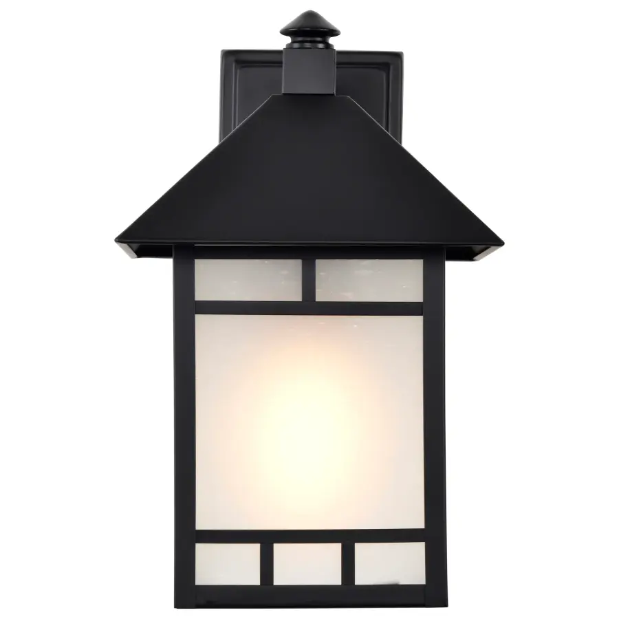 Drexel 9" Outdoor Wall Fixture with Frosted Seed Glass - Image 11