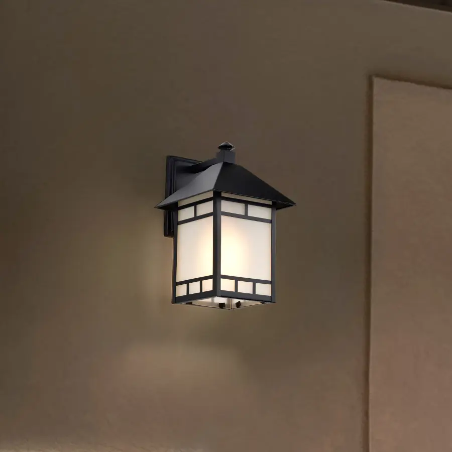 Drexel 9" Outdoor Wall Fixture with Frosted Seed Glass - Image 19