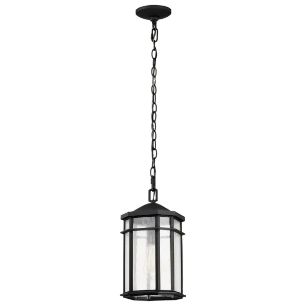 The Raiden outdoor hanging light combines traditional design with contemporary appeal. Its matte black finish and clear seedy glass create an aged patina effect that adds character to any exterior space while providing reliable illumination. - alternate view