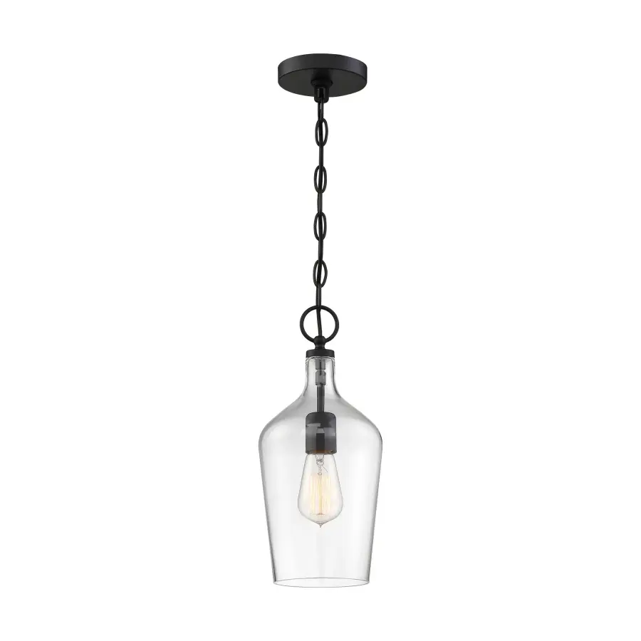 Hartley Single Light Pendant in Matte Black with Clear Glass - Image 1