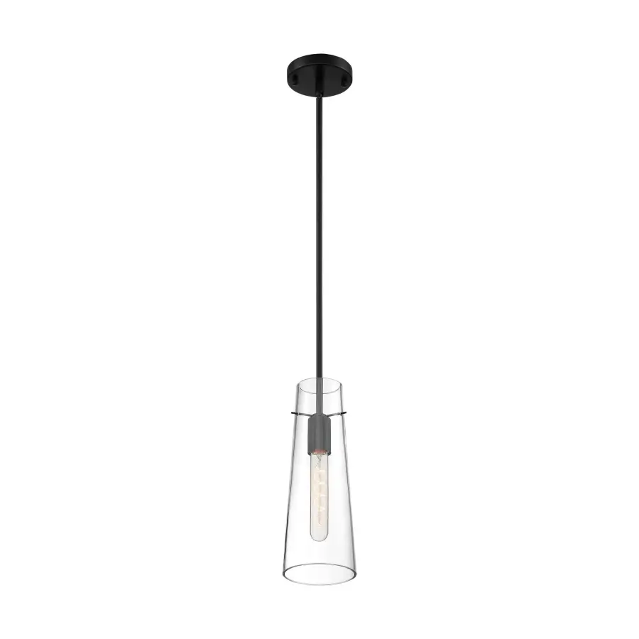 Alondra Mini Pendant - Black with Clear Glass