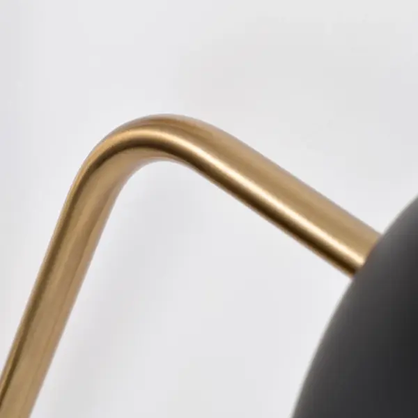 Trilby 2-Light Adjustable Wall Sconce in Matte Black with Burnished Brass - Image 9