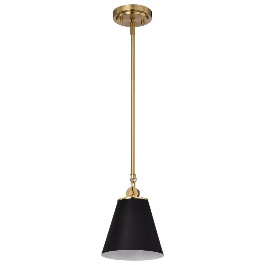 Dover Small Pendant Light in Black with Vintage Brass - Image 1