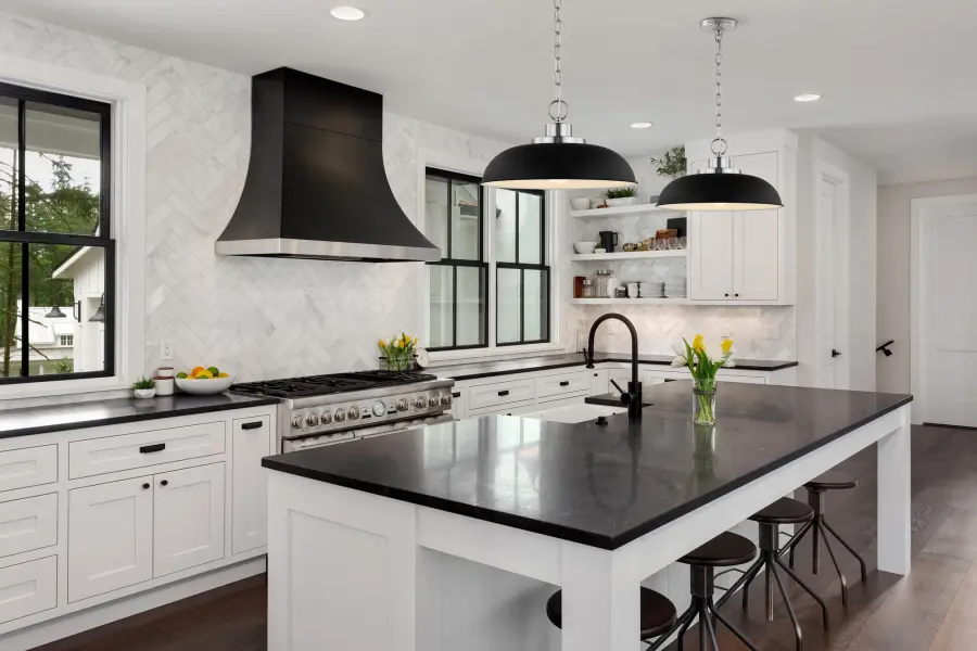 Colony Small Pendant Light in Matte Black with Polished Nickel - Image 5