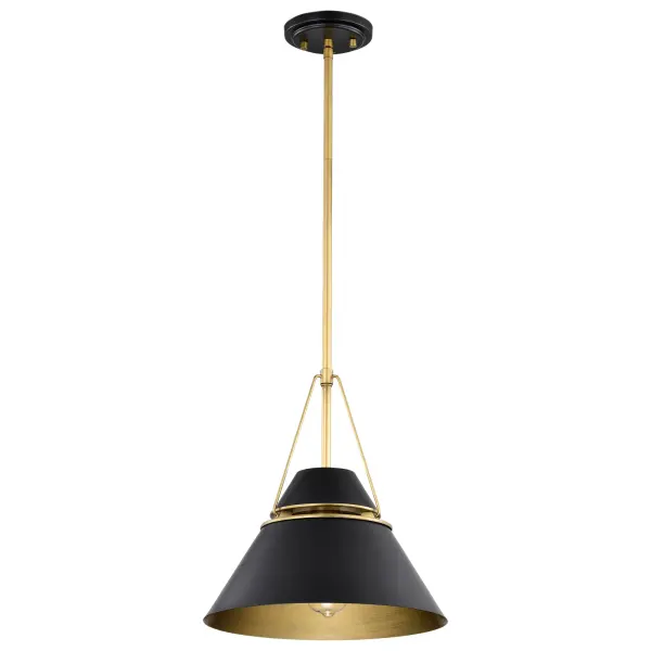 The Adina pendant combines matte black sophistication with natural brass accents for a refined, minimalist aesthetic. Its clean lines and streamlined design make it versatile for modern interiors while casting a warm, inviting glow.