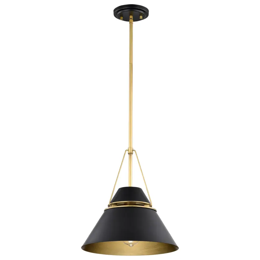 Adina 1-Light Medium Pendant in Matte Black and Natural Brass - Image 1