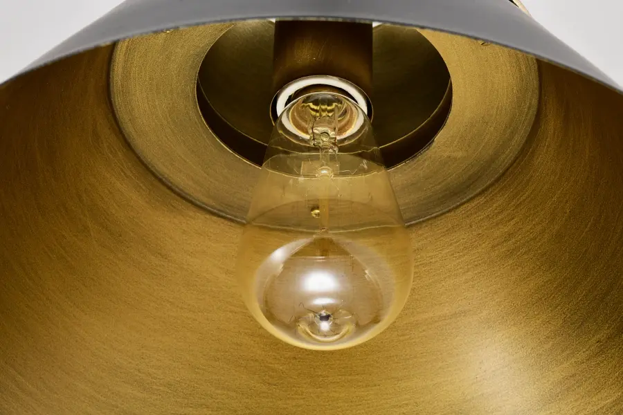 Adina 1-Light Medium Pendant in Matte Black and Natural Brass - Image 12