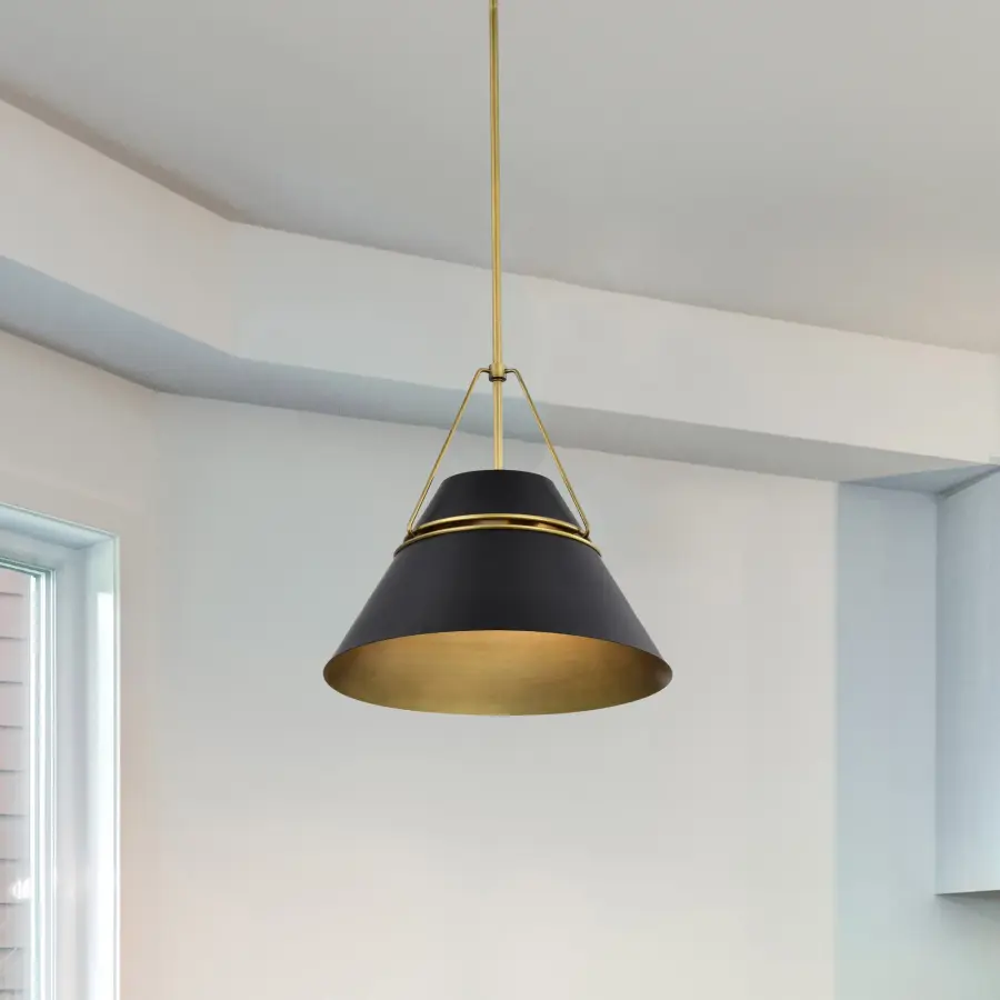 Adina 1-Light Medium Pendant in Matte Black and Natural Brass - Image 14