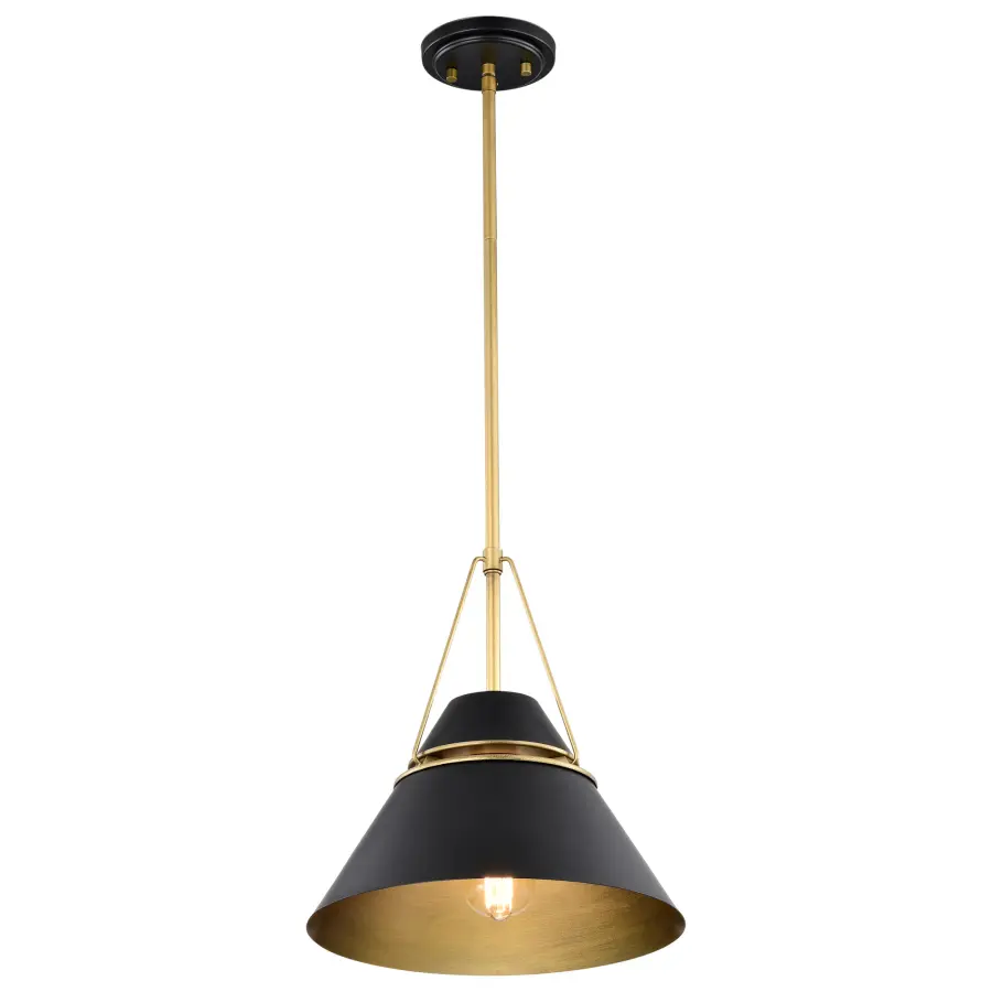 Adina 1-Light Medium Pendant in Matte Black and Natural Brass - Image 4