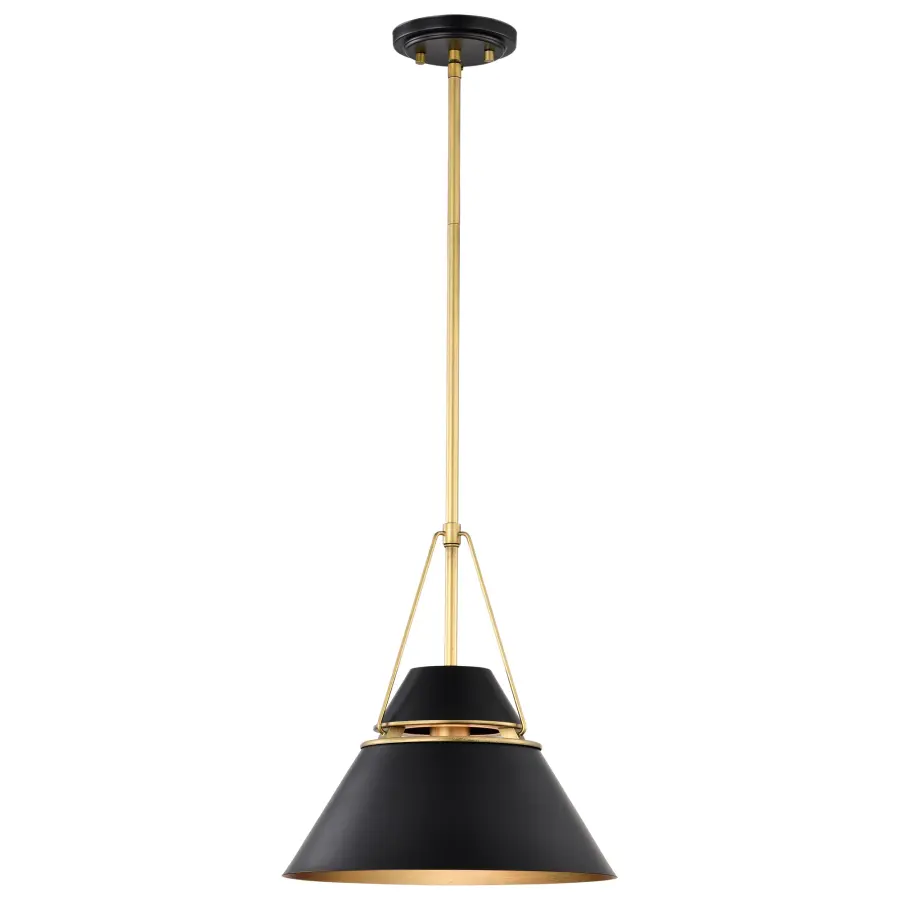 Adina 1-Light Medium Pendant in Matte Black and Natural Brass - Image 6