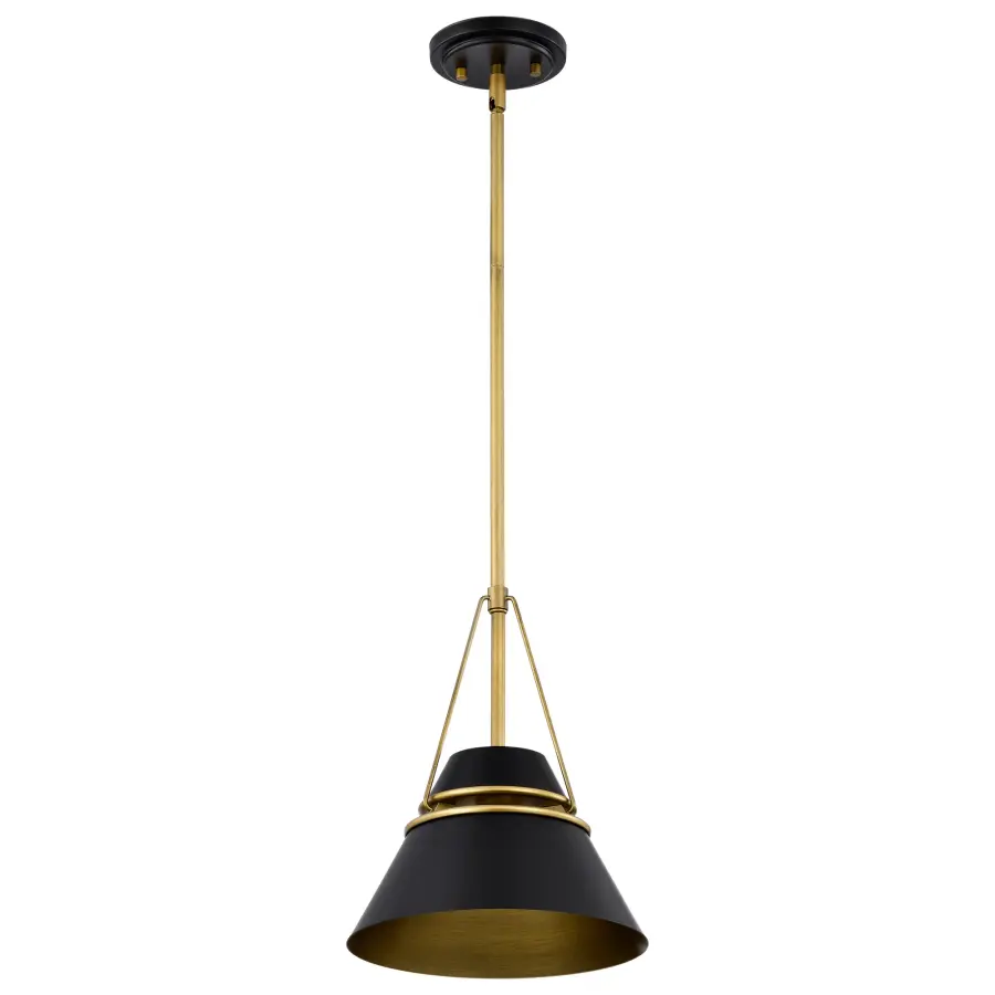 Adina Small Pendant Light in Matte Black and Natural Brass - Image 5
