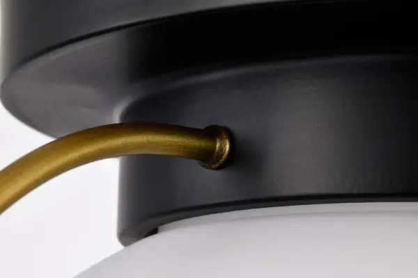 Lakeshore Large Flush Mount - Matte Black & Natural Brass - Image 8