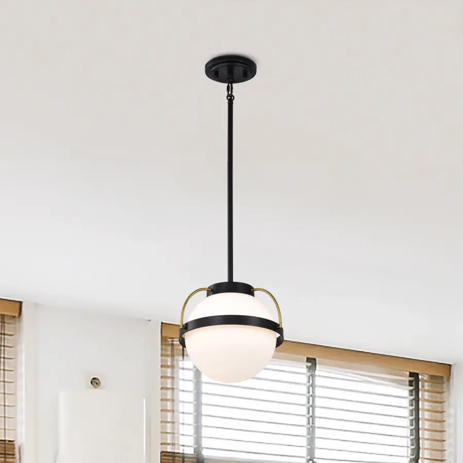 Lakeshore Small Pendant Light in Matte Black & Natural Brass - Image 13