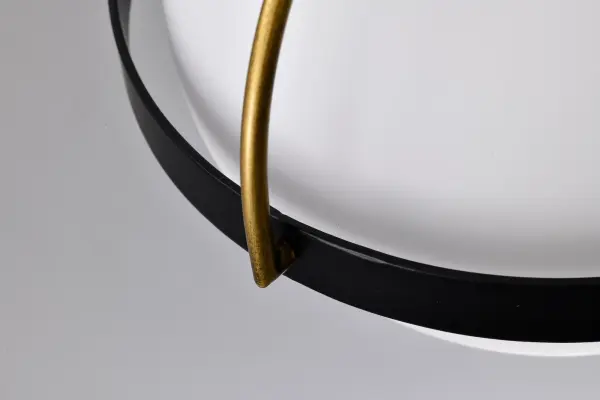 Lakeshore Small Pendant Light in Matte Black & Natural Brass - Image 8