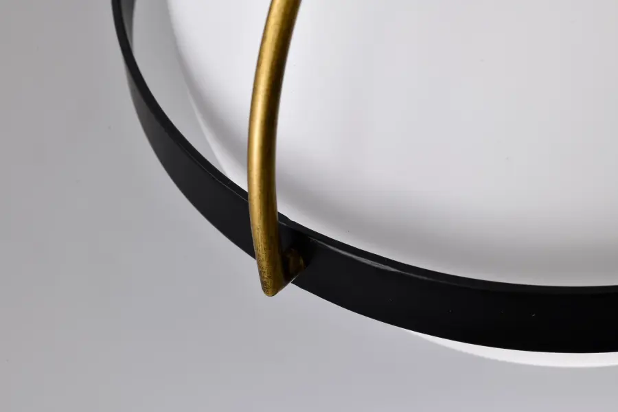 Lakeshore Small Pendant Light in Matte Black & Natural Brass - Image 8