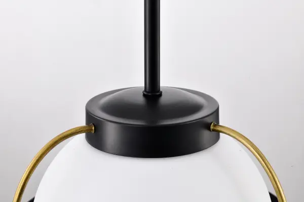 Lakeshore Small Pendant Light in Matte Black & Natural Brass - Image 9
