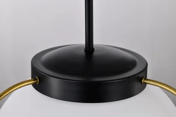 Lakeshore 1-Light Medium Pendant in Matte Black & Natural Brass - Image 9