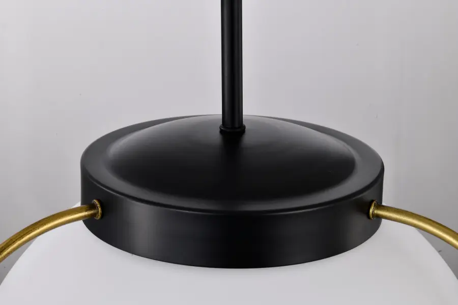 Lakeshore 1-Light Medium Pendant in Matte Black & Natural Brass - Image 9