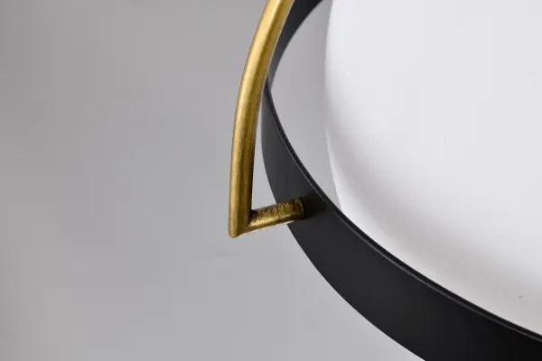 Lakeshore 1-Light Medium Pendant in Matte Black & Natural Brass - Image 10