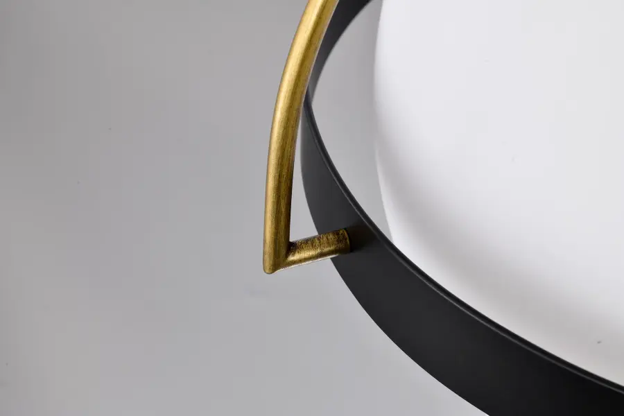 Lakeshore 1-Light Medium Pendant in Matte Black & Natural Brass - Image 10