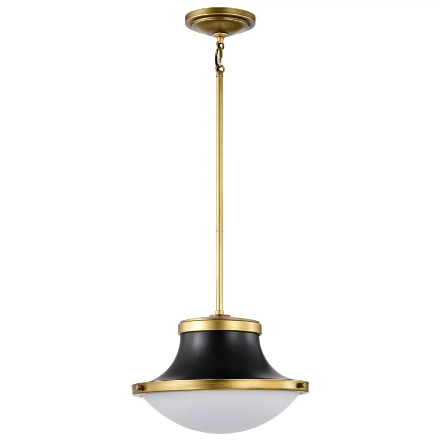 Lafayette 1-Light Pendant in Matte Black with Brass Accents - Image 5