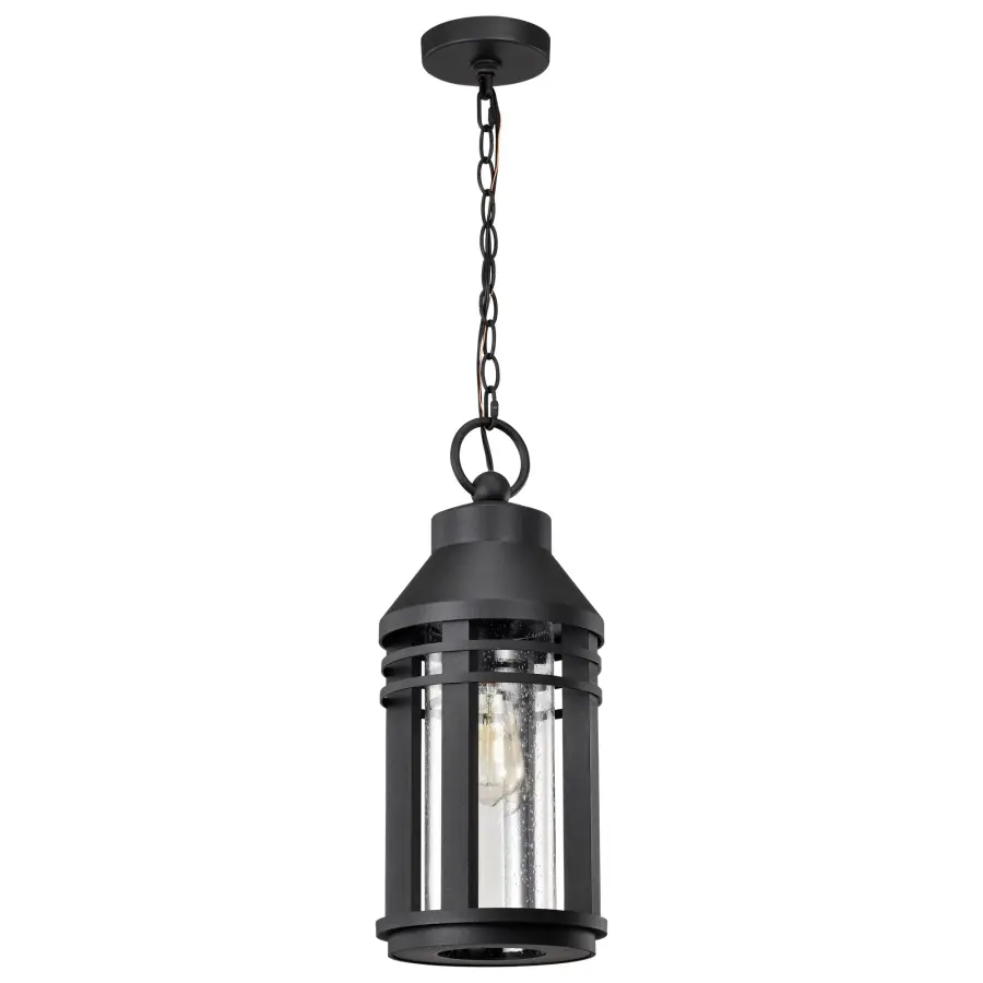 Wilton 1-Light Outdoor Hanging Lantern in Matte Black - Image 1