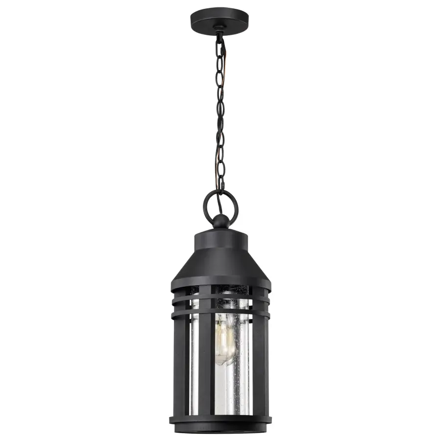 Wilton 1-Light Outdoor Hanging Lantern in Matte Black - Image 5
