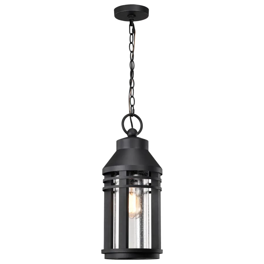 Wilton 1-Light Outdoor Hanging Lantern in Matte Black - Image 6