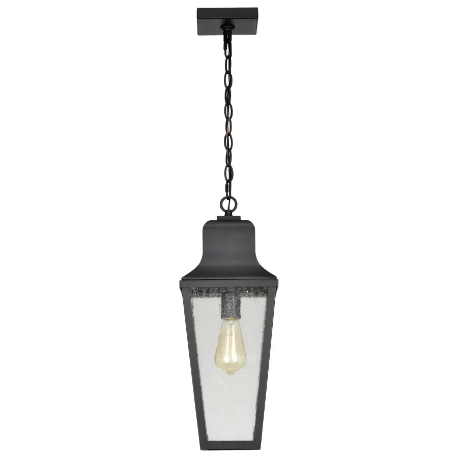 Lawrence 1-Light Outdoor Hanging Lantern in Matte Black - Image 9