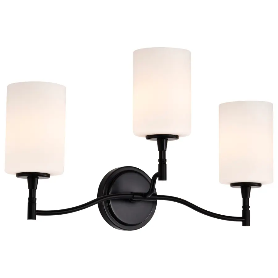 Elegant Transitional Vanity Light with Timeless Appeal - Image 2
