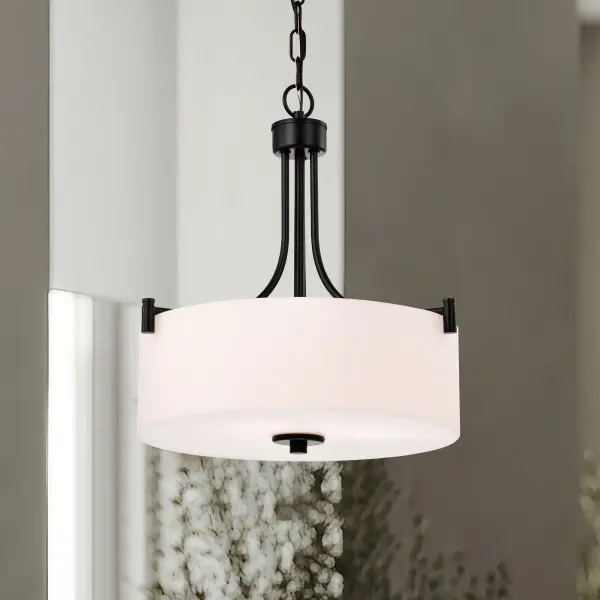 Versatile Transitional Pendant with Timeless Appeal - Image 15