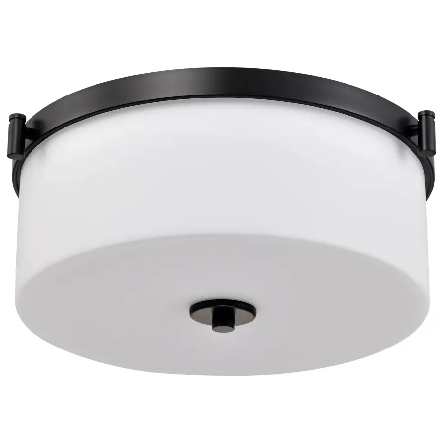 Versatile Transitional Flush Mount with Timeless Appeal - Image 1
