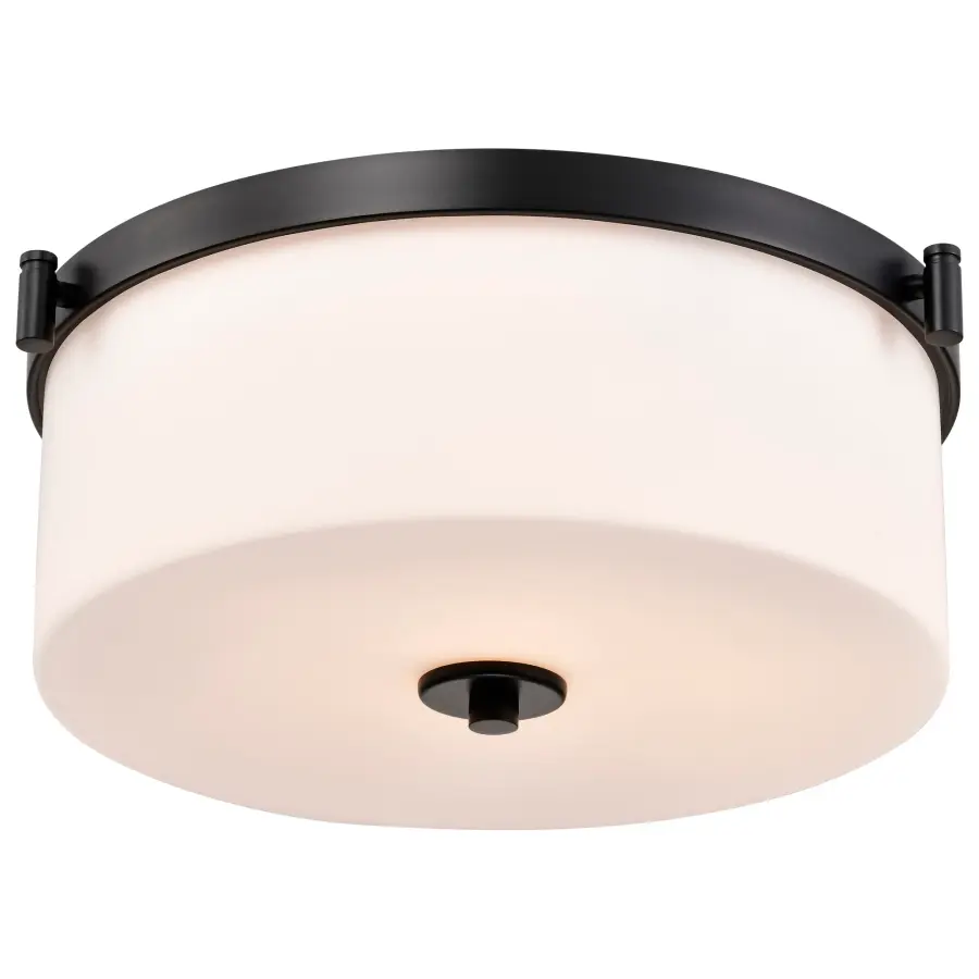 Versatile Transitional Flush Mount with Timeless Appeal - Image 2
