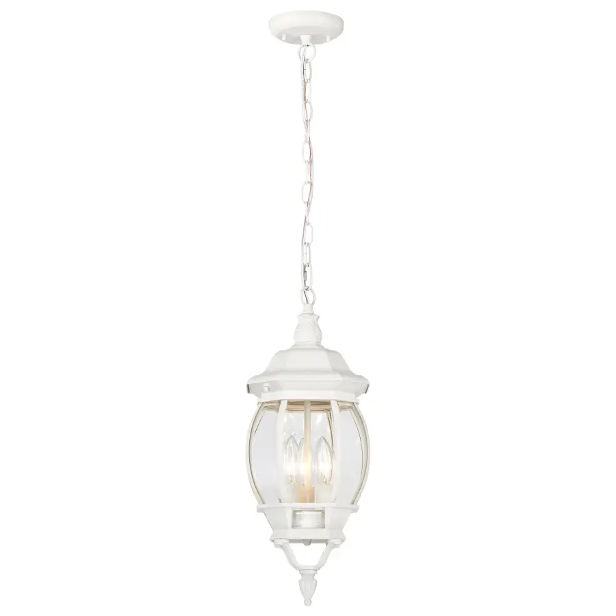 Central Park 3-Light Outdoor Hanging Lantern - Image 2