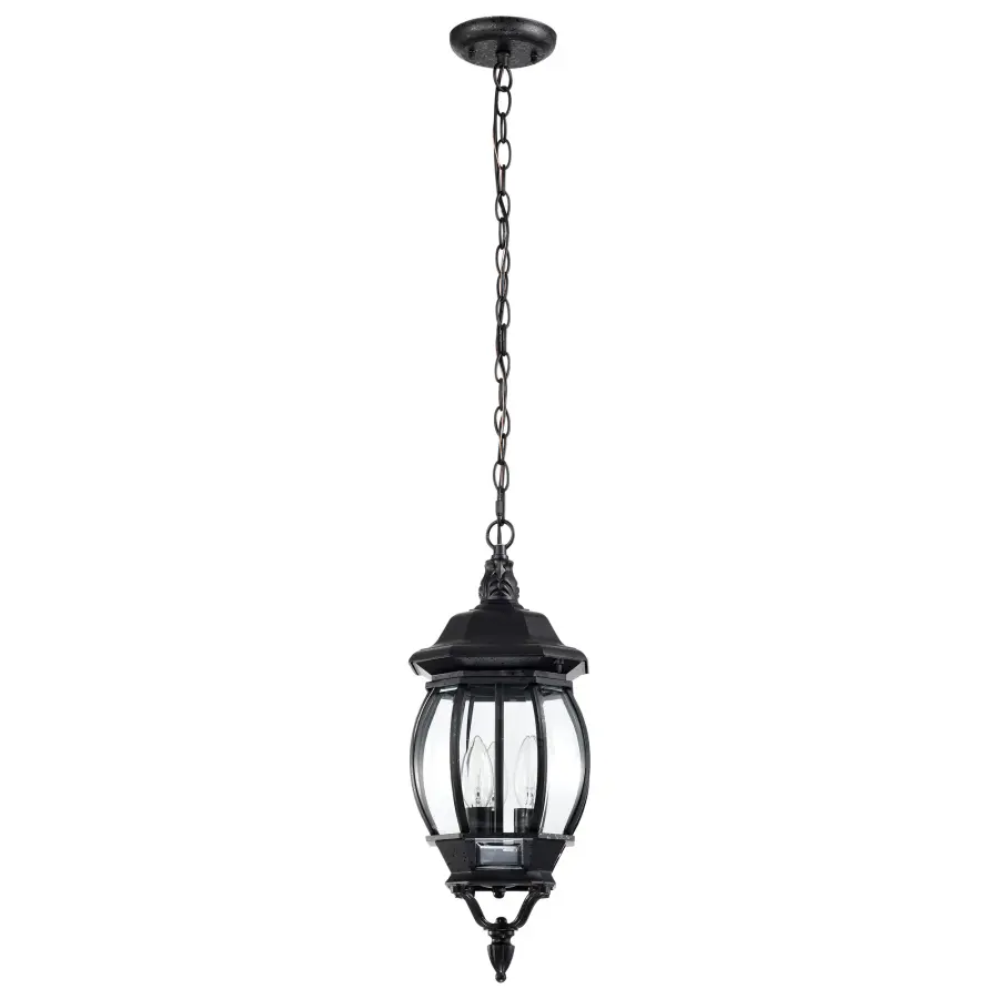 Central Park 3-Light Outdoor Hanging Lantern with Clear Beveled Glass - Image 1