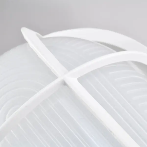 Durable LED Bulkhead for Outdoor Walkways and Entrances - Image 10