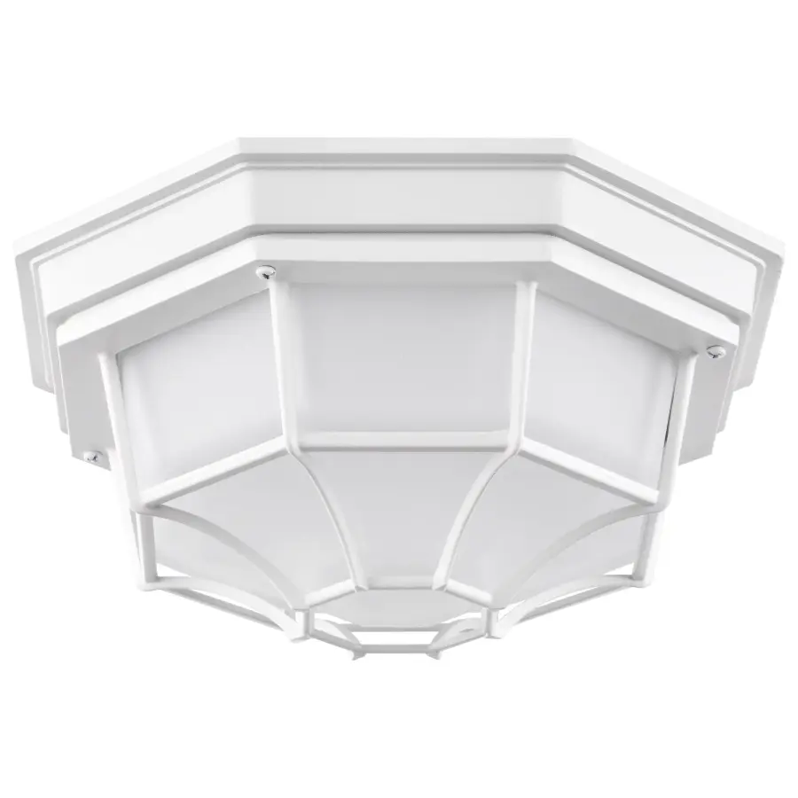 Durable LED Bulkhead with Industrial Cage Design for Outdoor Spaces - Image 1